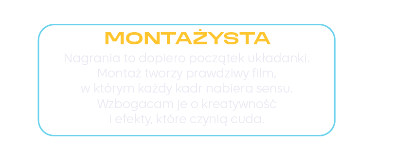 Montazysta